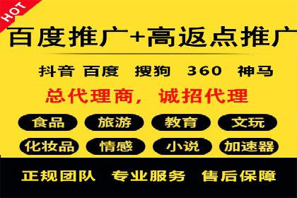 百度广告推广助力电商行业案例分析